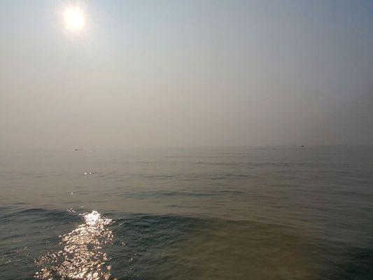 Ocean Grove Pier by null