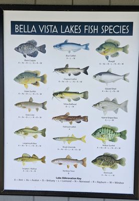 Menu photo 1 Lakepoint Bella Vista, AR
