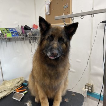 The Pet House - Pet Services Near Me - McKenna, Washington The Pet House - Pet Services Near Me - McKenna, Washington