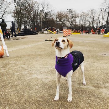 Jackson Bark - Dog Parks Near Me - Chicago, Illinois