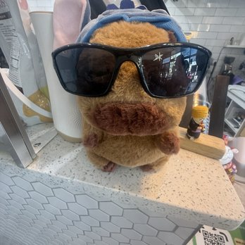 TeaQ - Bubble Tea Near Me - Raleigh, North Carolina