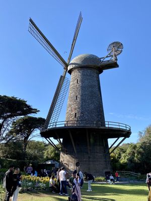 Dutch Windmill by null