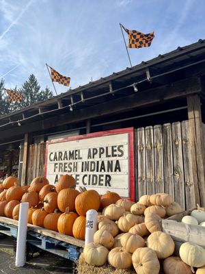 The Famous Tomato by null