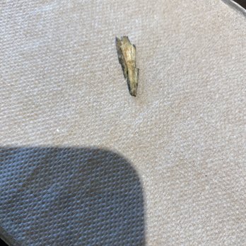 CoreLife Eatery - Piece of wood in my food - New American Near Me - Fayetteville, North Carolina