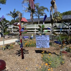 The Luffa Farm - The rare bottle trees