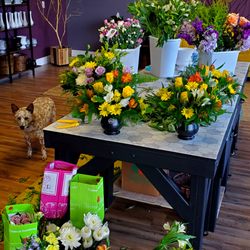 Big Bloomin Design - The Boss!