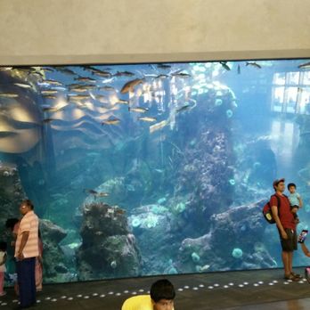 Seattle Aquarium - Main area adjacent to reception - Aquariums Near Me - Seattle, Washington Seattle Aquarium - Main area adjacent to reception - Aquariums Near Me - Seattle, Washington