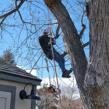 1. A-Z Tree Trimming & Removal