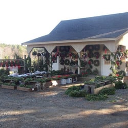 Greenwood Tree Farm - Our Western New York Farm has provided us with almost 500 of great trees this year.  We hope that you understand that cutting ma