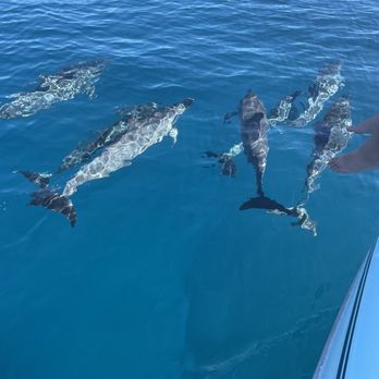 Na Pali Experience - Dolphins - Boating Near Me - Kekaha, Hawaii Na Pali Experience - Dolphins - Boating Near Me - Kekaha, Hawaii