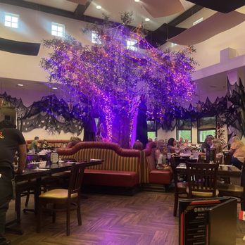 The Mexico Cafe - Beautiful October spooky tree - Salad Near Me - Temecula, California The Mexico Cafe - Beautiful October spooky tree - Salad Near Me - Temecula, California