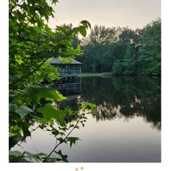 The Winding Woods venue