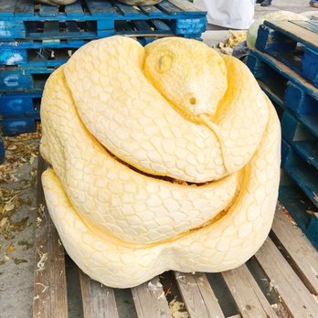 Circleville Pumpkin Show - How cool! It's carved out of a pumpkin - Festivals Near Me - Circleville, Ohio