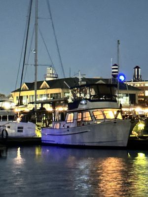 Lighthouse Point Marina by null