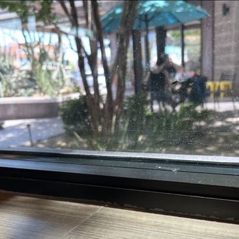 Snooze, an A.M. Eatery - Flies - Breakfast & Brunch Near Me - Gilbert, Arizona