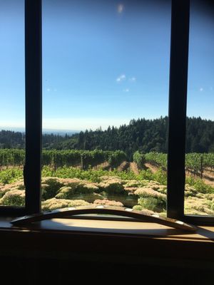 J.K. Carriere - Wine Tastings, Appointment or Walk In by null