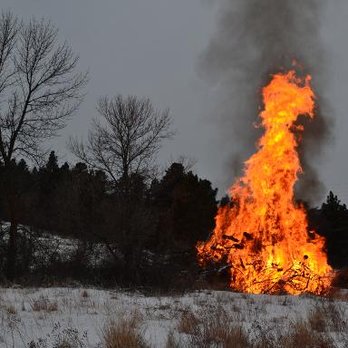 Altergott Forestry - untitled - Tree Services Near Me - Spearfish, South Dakota