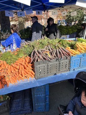 Forest Hills Greenmarket by null