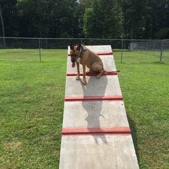 Heritage Park Complex: Bark Park - There are two obstacle props in one fenced segment of the 3 segmented park. - Dog Parks Near Me - Clarksville, Tennessee Heritage Park Complex: Bark Park - There are two obstacle props in one fenced segment of the 3 segmented park. - Dog Parks Near Me - Clarksville, Tennessee
