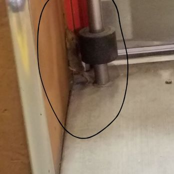Target - Another pic of the rat. - Department Stores Near Me - South Gate, California Target - Another pic of the rat. - Department Stores Near Me - South Gate, California