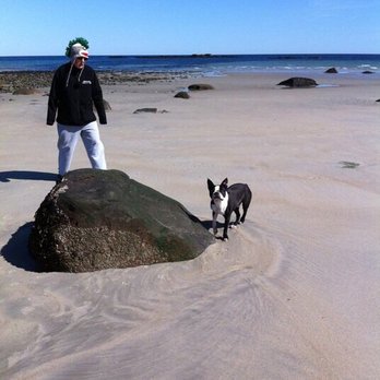 Village Veterinary - The two of us ... Wells Beach - Veterinarians Near Me - York, Maine Village Veterinary - The two of us ... Wells Beach - Veterinarians Near Me - York, Maine