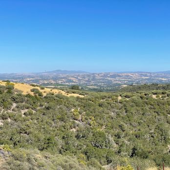 Calcareous Vineyard - Wine Tasting Room Near Me - Paso Robles, California