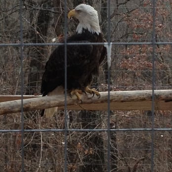 World Bird Sanctuary - Parks Near Me - Valley Park, Missouri