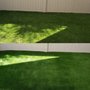 Photo of Brightside Turf