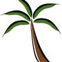 Photo of Palm Tree Escrow