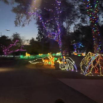 Zoolights - Zoos Near Me - Phoenix, Arizona