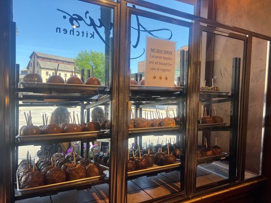 Amy's Candy Kitchen by null