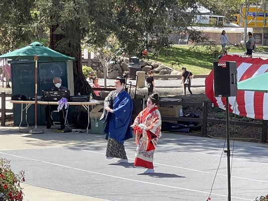 Cupertino Cherry Blossom Festival by null