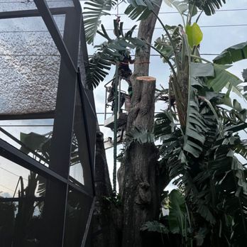 Technical Trees and Landscaping - Tree Services Near Me Technical Trees and Landscaping - Tree Services Near Me