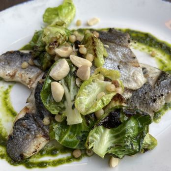 Trattoria Nervosa - Grilled Branzino fish with brussel sprouts - Italian Near Me - Toronto, Ontario Trattoria Nervosa - Grilled Branzino fish with brussel sprouts - Italian Near Me - Toronto, Ontario