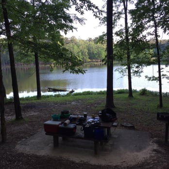 Roosevelt State Park - Lakeside site - Parks Near Me - Morton, Mississippi