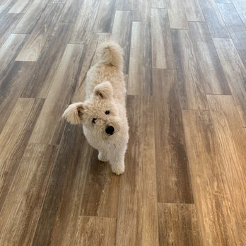ADS Flooring Co - 100% satisfied! Doggy approved to boot! - Flooring Near Me - Riverside, California