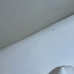 Hotel Rebstock - Hair (I'm blonde so not mine)
