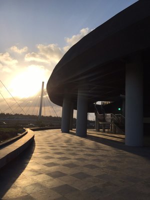 Gaomei Wetlands by null