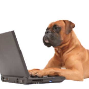Emory Veterinary Clinic - Veterinarians Near Me - Emory, Texas Emory Veterinary Clinic - Veterinarians Near Me - Emory, Texas