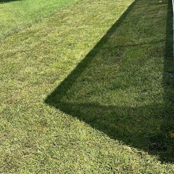 Charlie's Re-Sod - Back yard damage repair and grading. - Landscaping Near Me