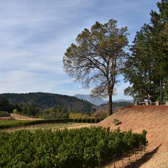 Pride Mountain Vineyards - Wineries Near Me - St. Helena, California Pride Mountain Vineyards - Wineries Near Me - St. Helena, California
