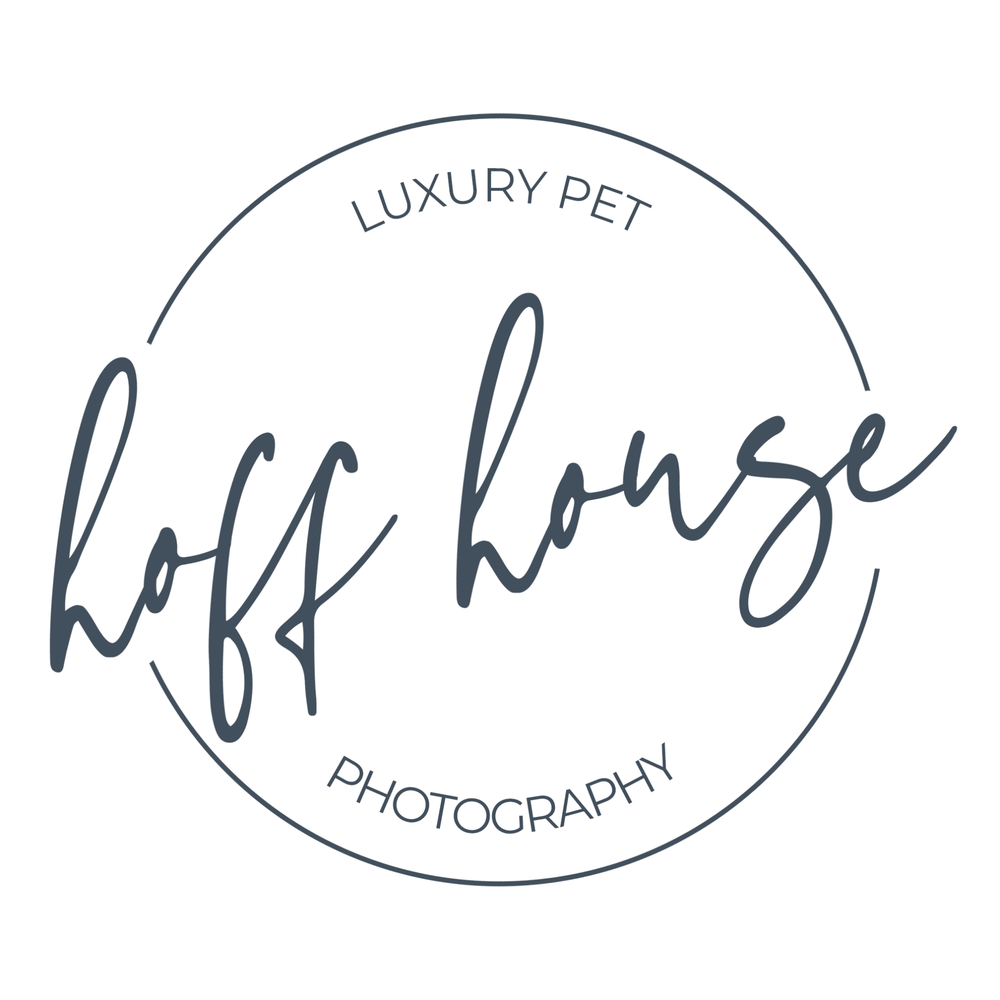 HOFF HOUSE PET PHOTOGRAPHY Updated August 2024 Request Information