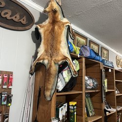 Vital Shot Archery - Mounted red fox!