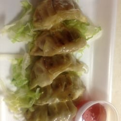 The Meat Wagon - Panfried chicken vegetable potstickers
