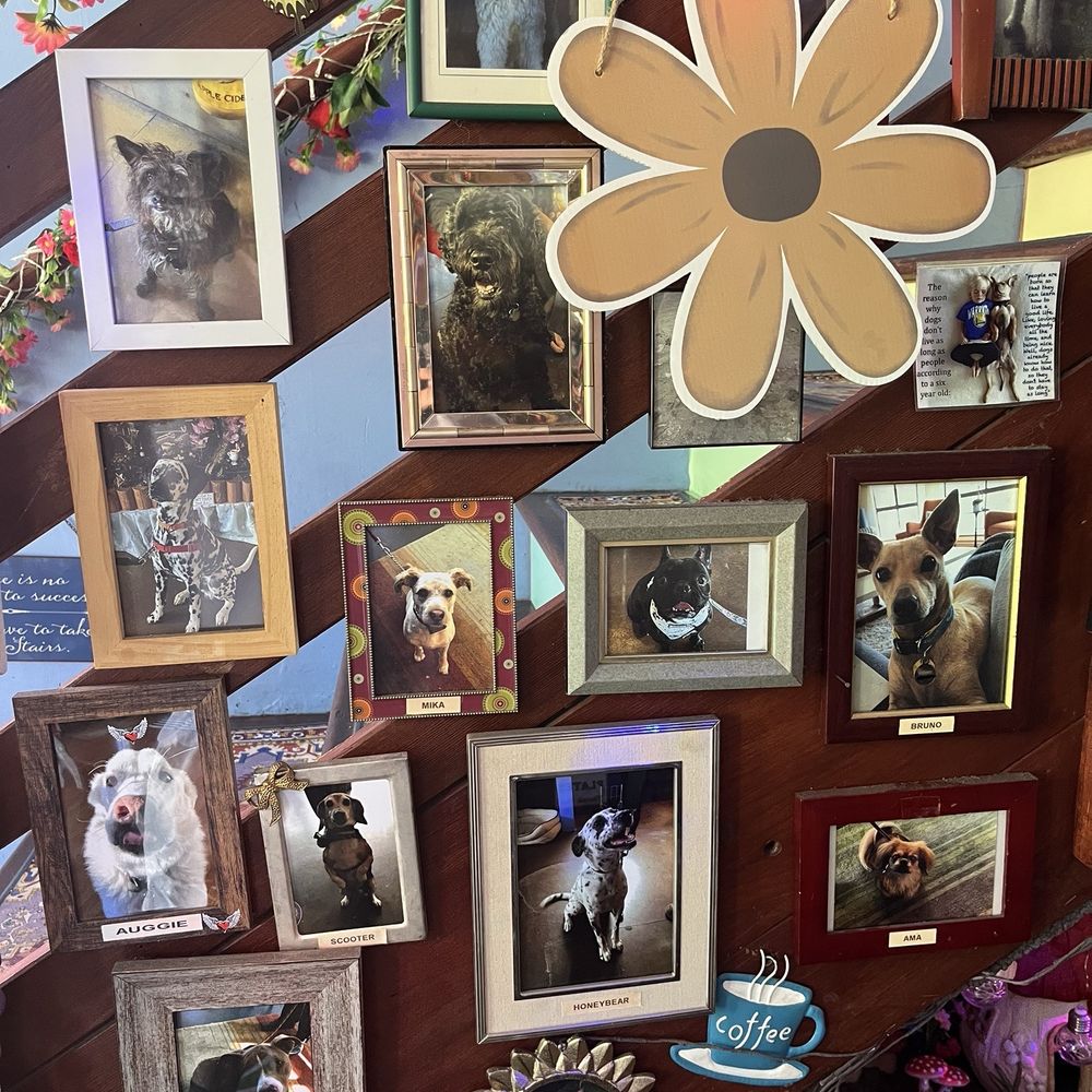 Karma Cafe - Coffee & Tea Near Me - San Francisco, California Karma Cafe - Coffee & Tea Near Me - San Francisco, California