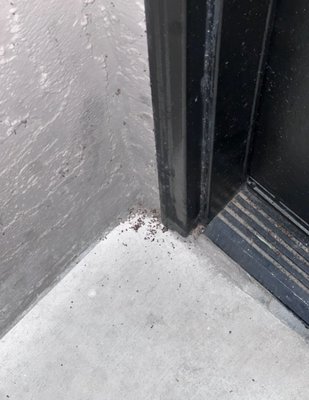 Lido at Shandin Hills by null