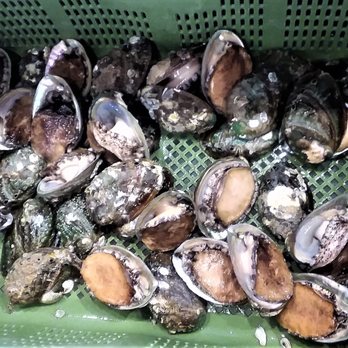 H Mart - Austin - Mmm, fresh abalone. Great stuff. - Grocery Near Me - Austin, Texas H Mart - Austin - Mmm, fresh abalone. Great stuff. - Grocery Near Me - Austin, Texas