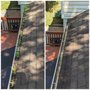 Avid Pressure Washing