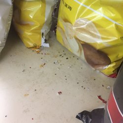 7-Eleven - Mouse droppings and chewed through chip bag in plain sight!
