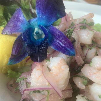 Fokkus Room & Cucine - Fokkus Shrimp Ceviche - Sushi Bars Near Me - Bronx, New York